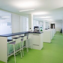 Grünflächenamt, Frankfurt